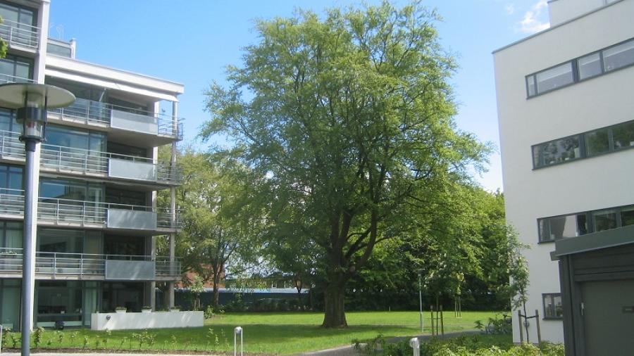 Den gamla boken